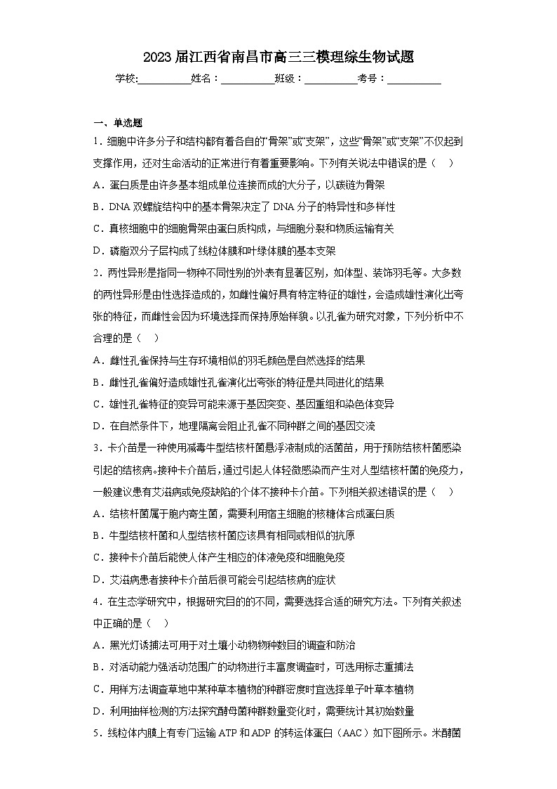 2023届江西省南昌市高三三模理综生物试题(含答案)01