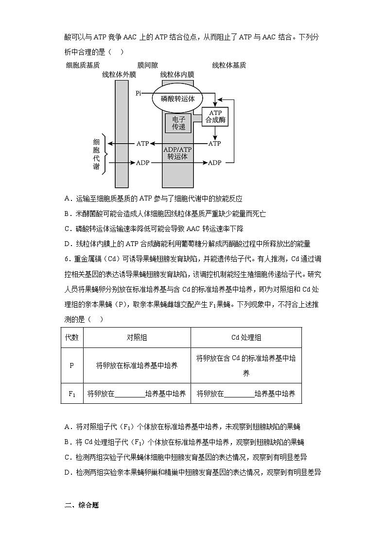 2023届江西省南昌市高三三模理综生物试题(含答案)02