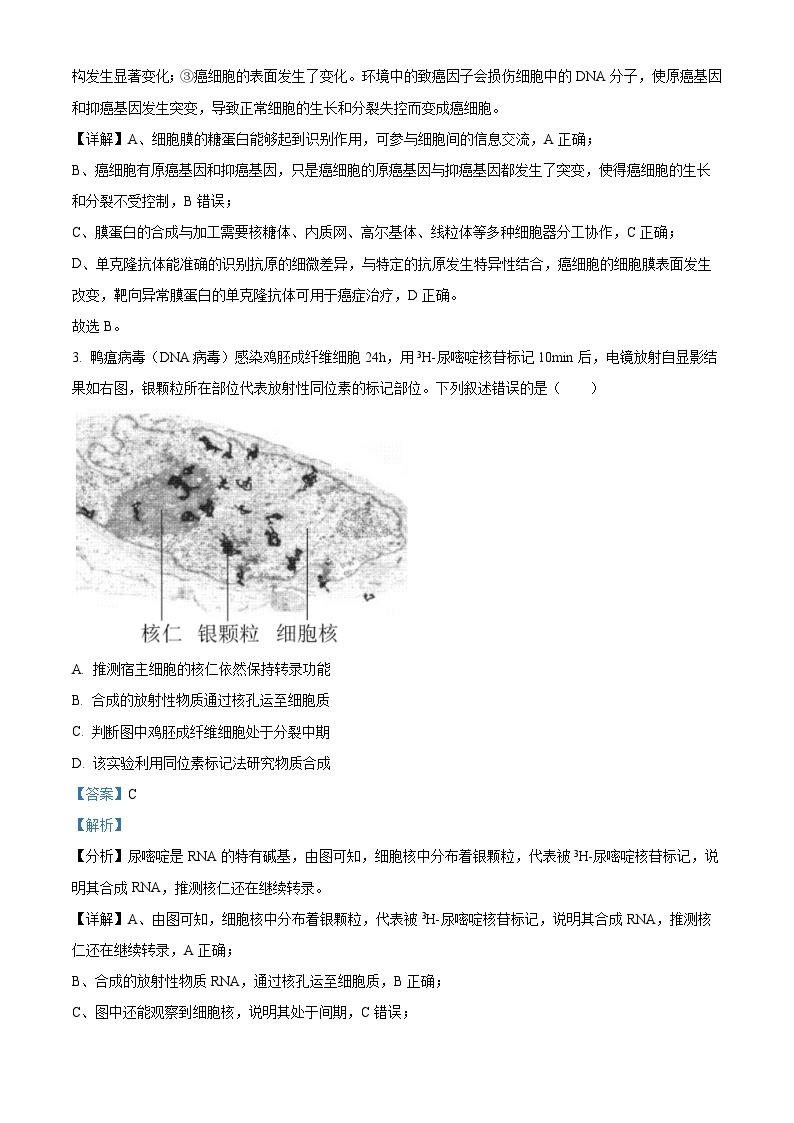 北京市昌平区2023届高三二模生物试题  Word版含解析02