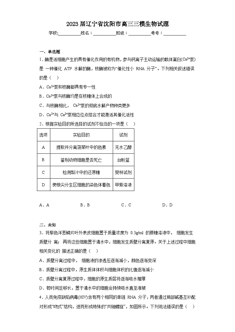 2023届辽宁省沈阳市高三三模生物试题(无答案)01