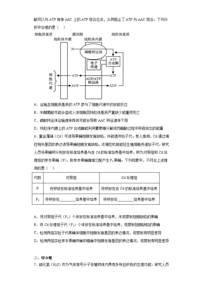 2023届江西省南昌市高三三模理综生物试题（含解析）02