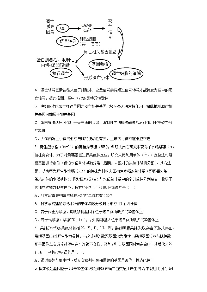 2023届江苏省盱眙中学高三下学期生物模拟检测七(含解析)第2页