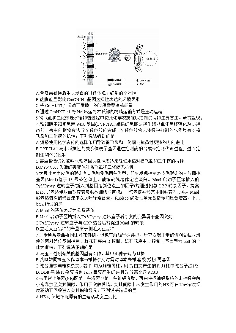 山东省威海市2023届高三第二次模拟考试生物试题 附答案02