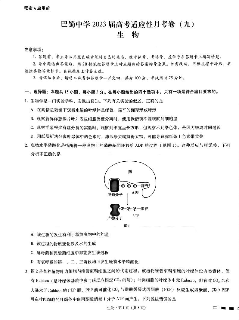 重庆市巴蜀中学2023届高考适应性月考卷(九)生物第1页