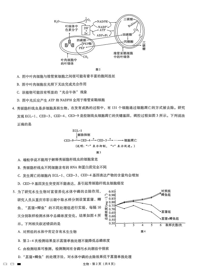 重庆市巴蜀中学2023届高考适应性月考卷(九)生物第2页