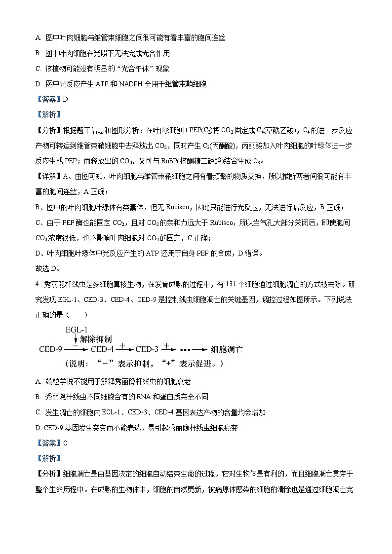 重庆市巴蜀中学2023届高三生物适应性月考卷(九)试题(Word版附解析)第3页
