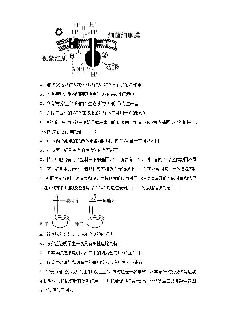 2023届江西省南昌市八一中学高三下学期三模理综生物试题(含答案)02