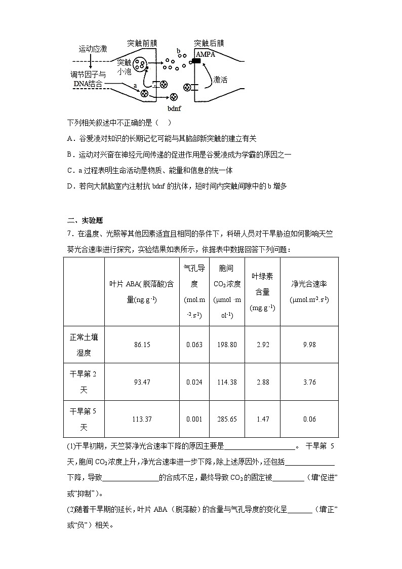 2023届江西省南昌市八一中学高三下学期三模理综生物试题(含答案)03