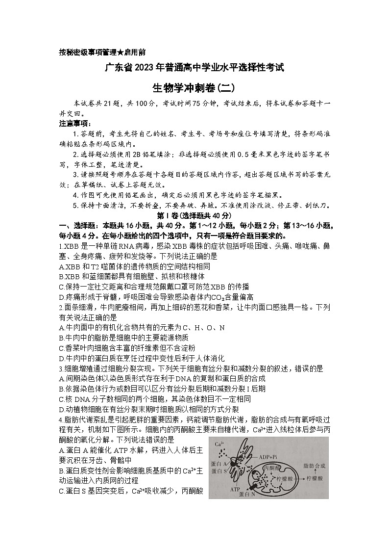 2023届广东省高三普通高中学业水平选择性考试冲刺(二)生物试题第1页