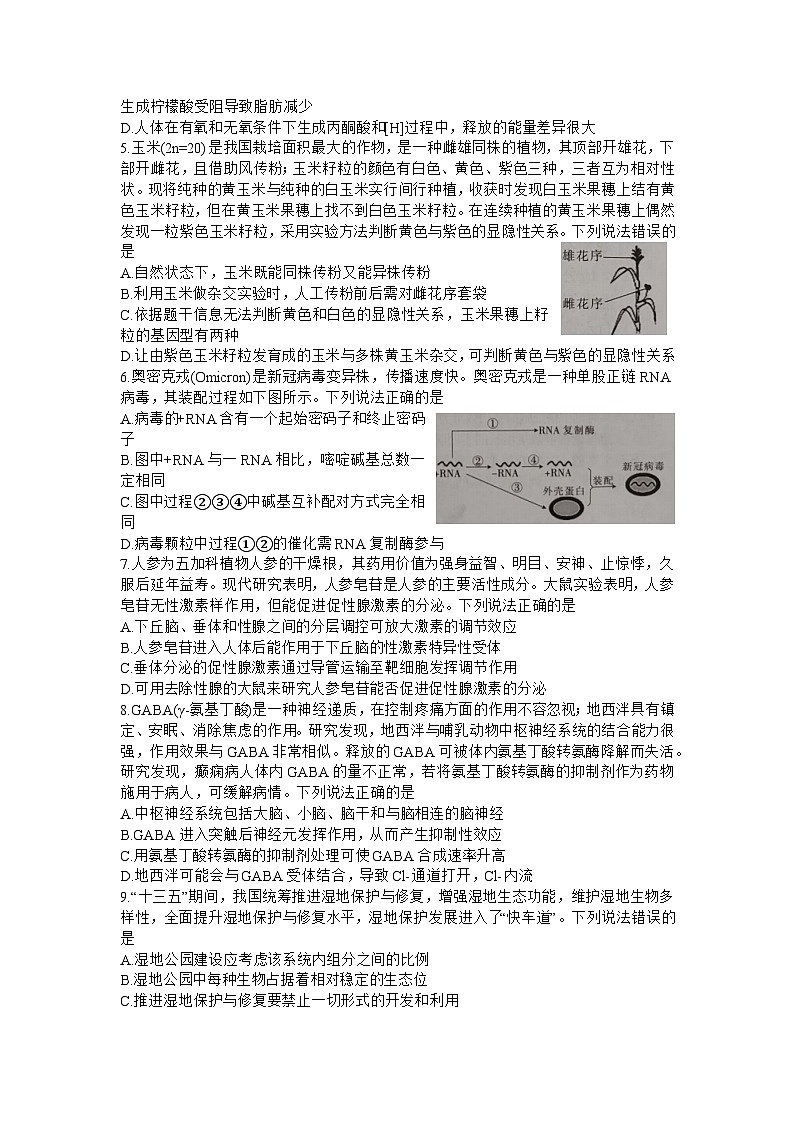2023届广东省高三普通高中学业水平选择性考试冲刺(二)生物试题第2页