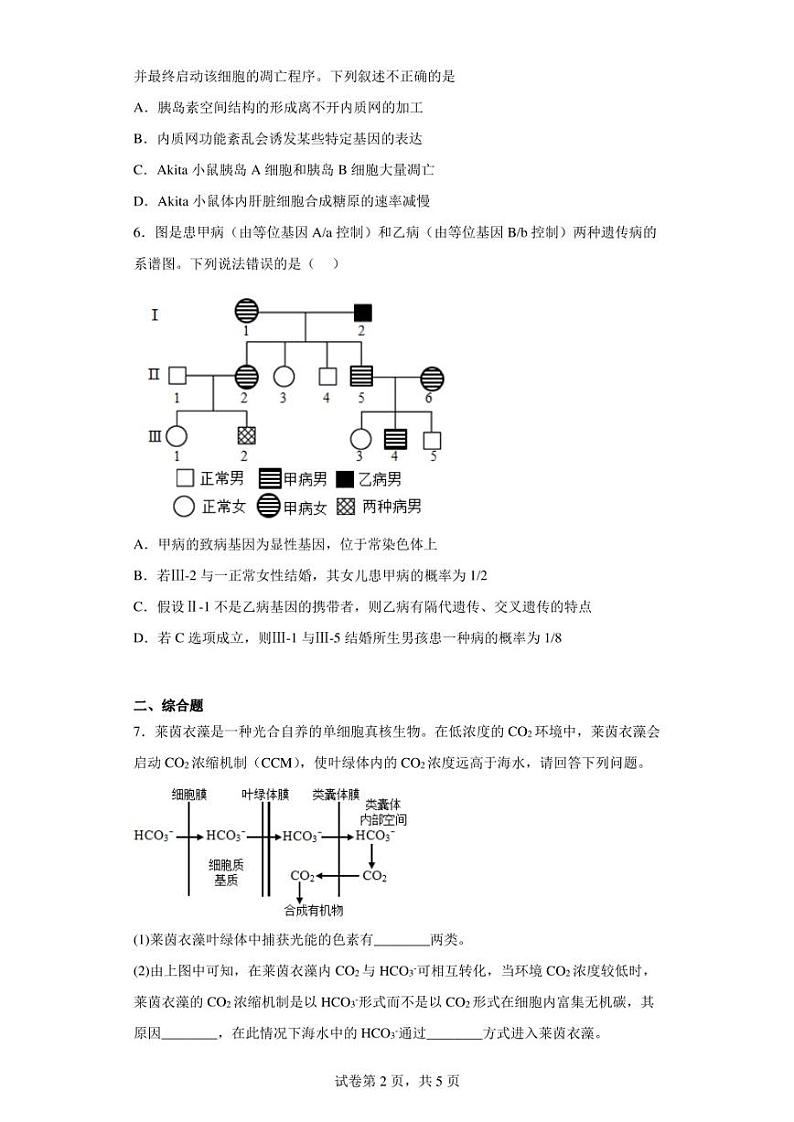 2023届宁夏中卫市高三第二次模拟考试理综生物试题(含答案解析)02