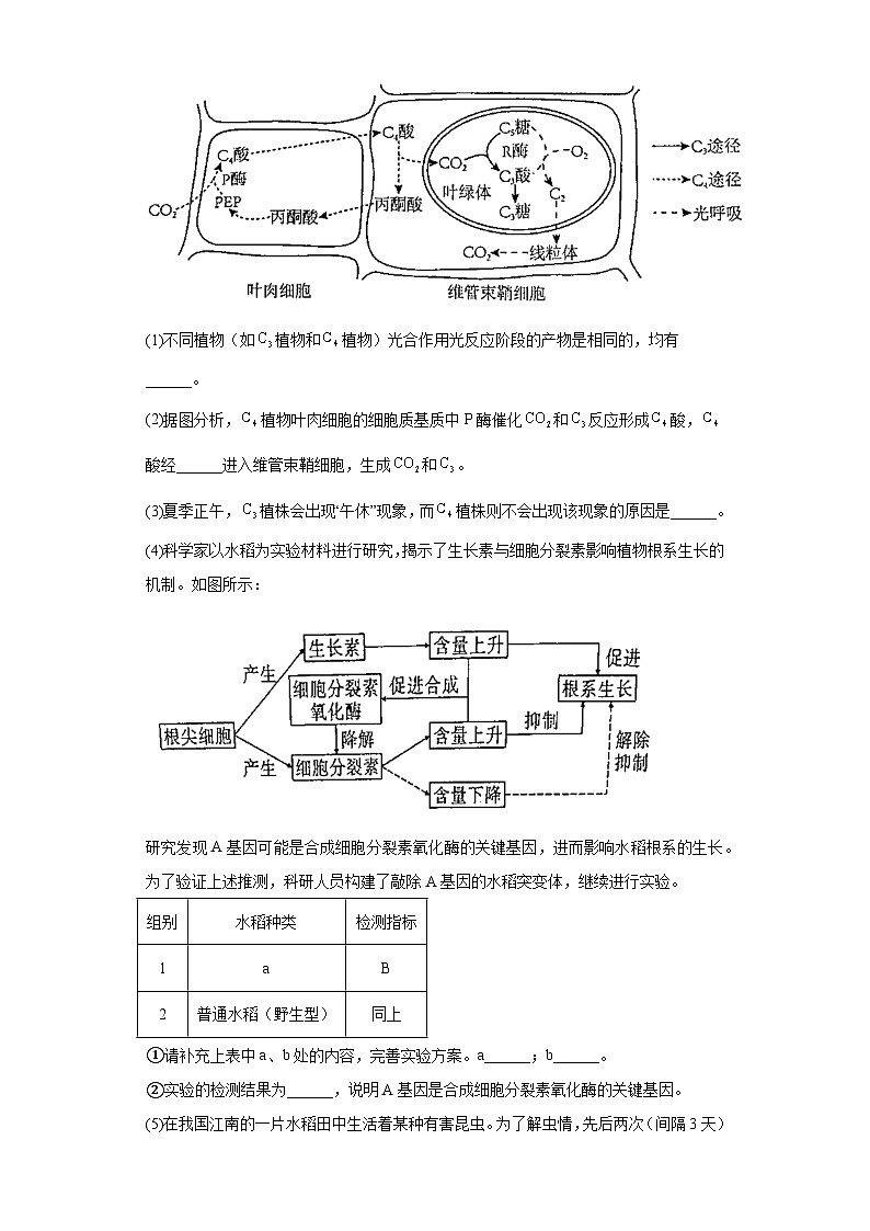 2023届江西省景德镇市高三下学期第二次综合模拟考试理综生物试题(含答案)03