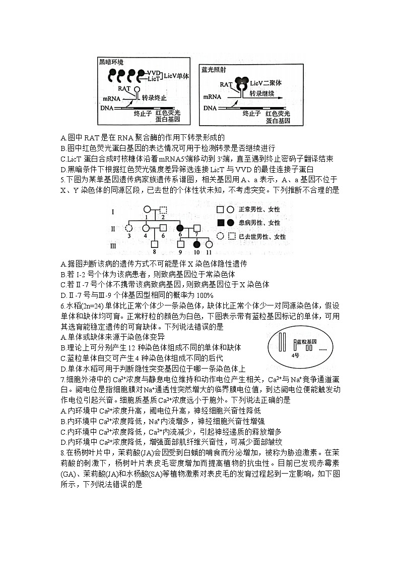 2023年济南市高三三模生物试题含答案解析第2页