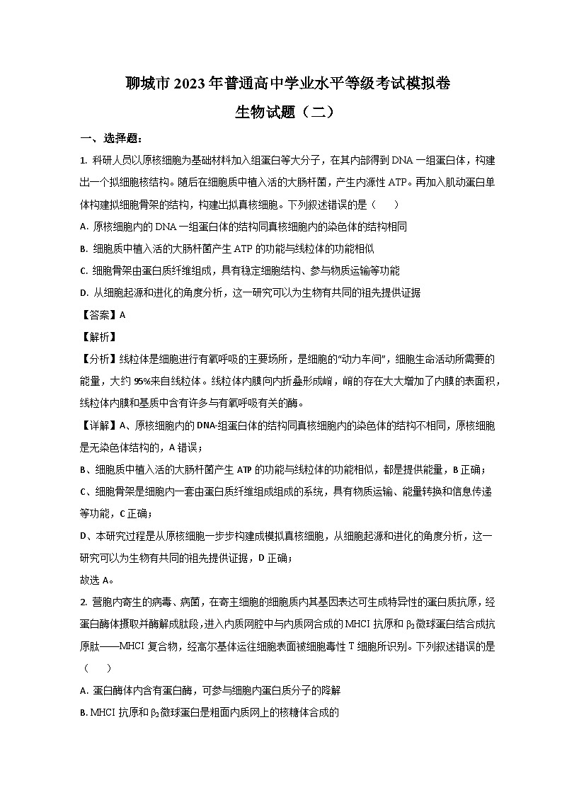 山东省聊城市2023届高三生物下学期第二次模拟考试试题 (Word版附解析)01