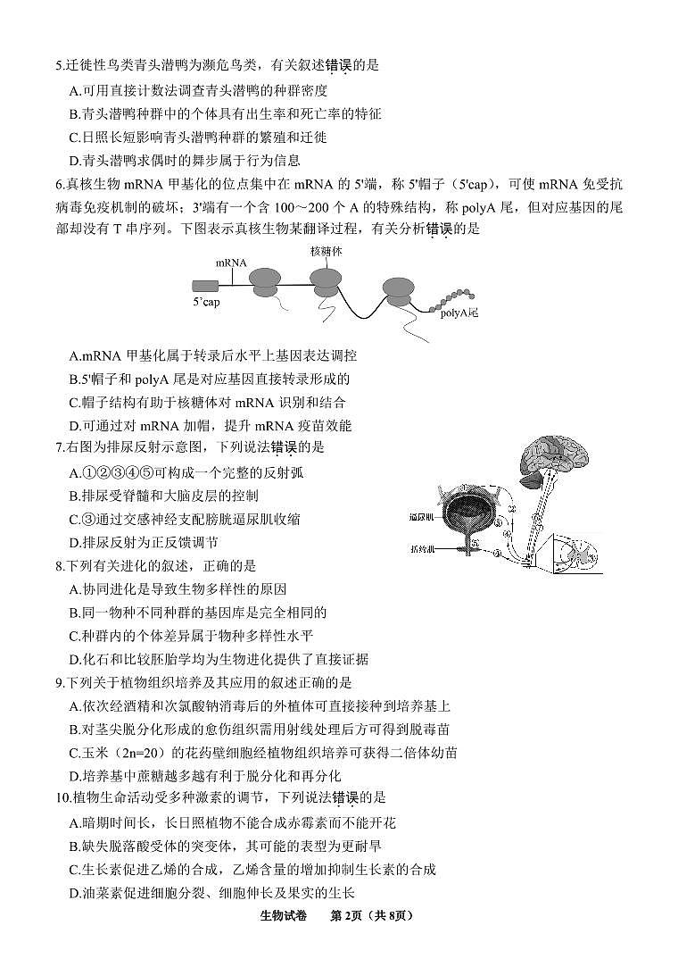 2023届江苏省徐州市高三三模生物试题及答案02