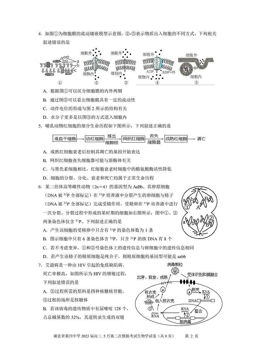 黃岡中學(xué)2023屆高三5月第二次模擬考試 生物學(xué)第2頁
