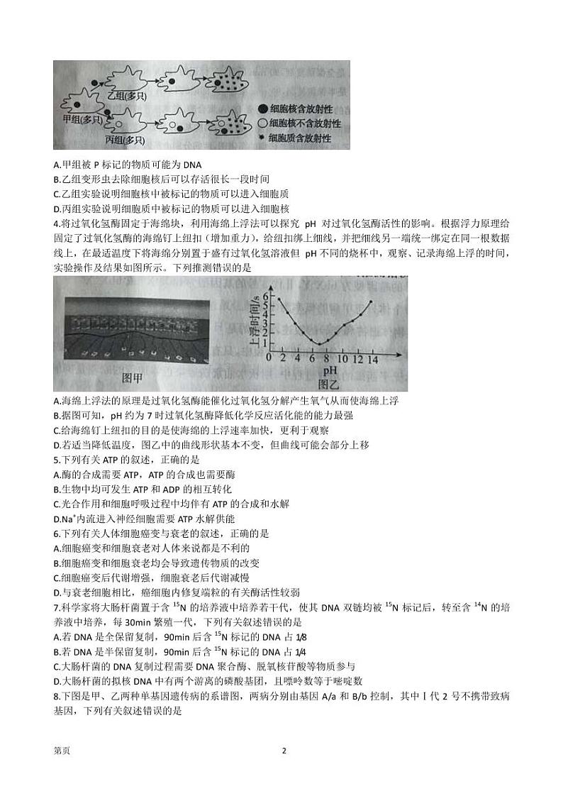2023届河北省张家口市高三下学期高考二模生物试卷(PDF版)02