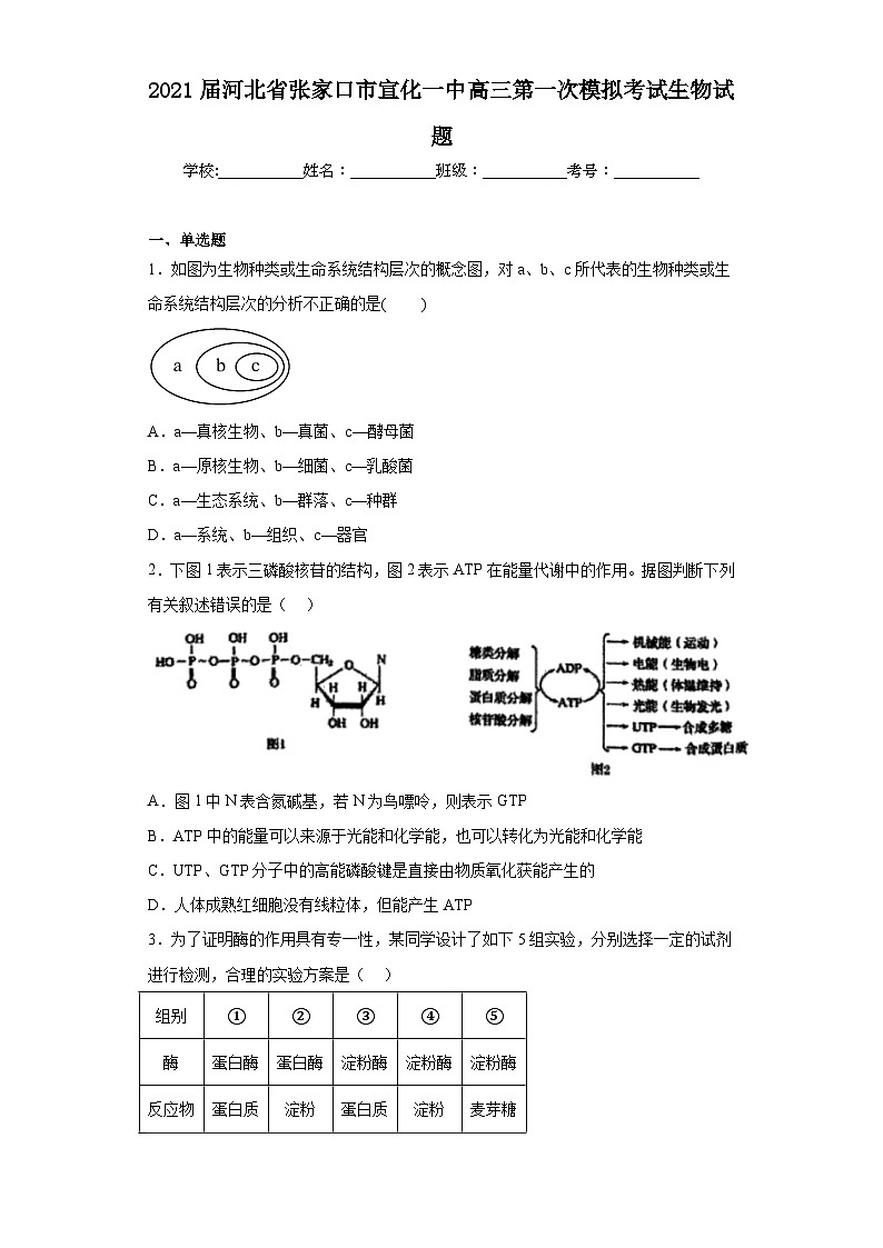 2021届河北省张家口市宣化一中高三第一次模拟考试生物试题(含解析)第1页