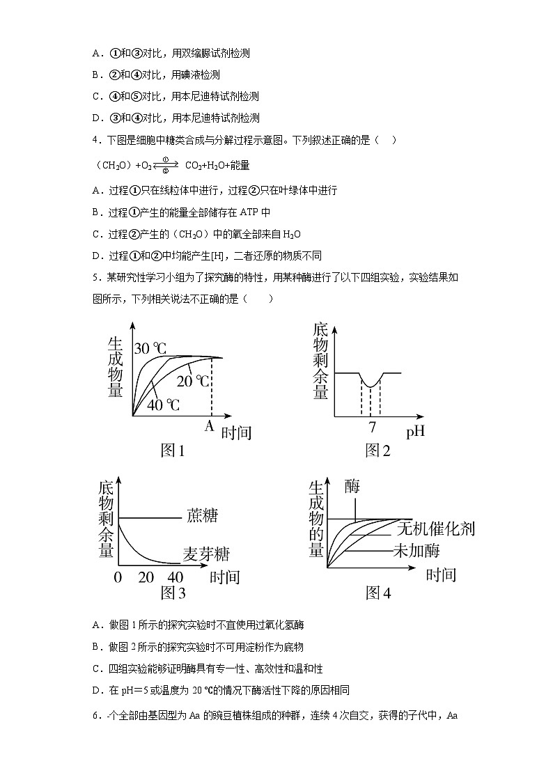 2021届河北省张家口市宣化一中高三第一次模拟考试生物试题(含解析)第2页