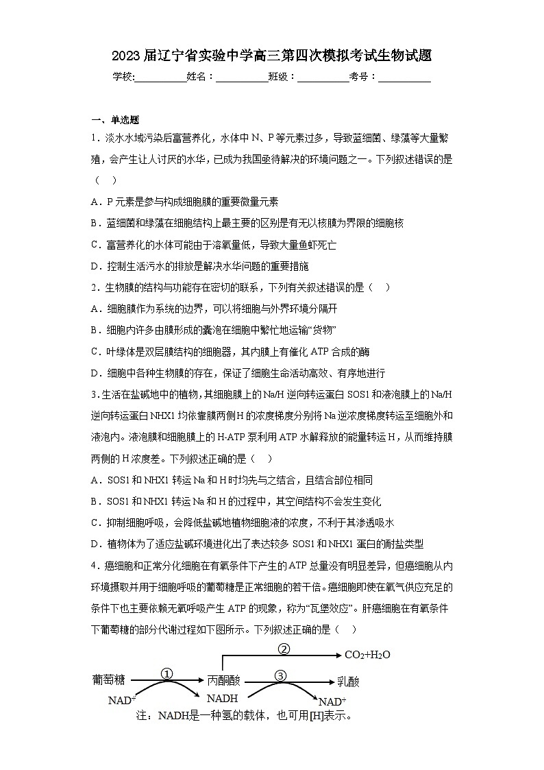 2023届辽宁省实验中学高三第四次模拟考试生物试题(含解析)01