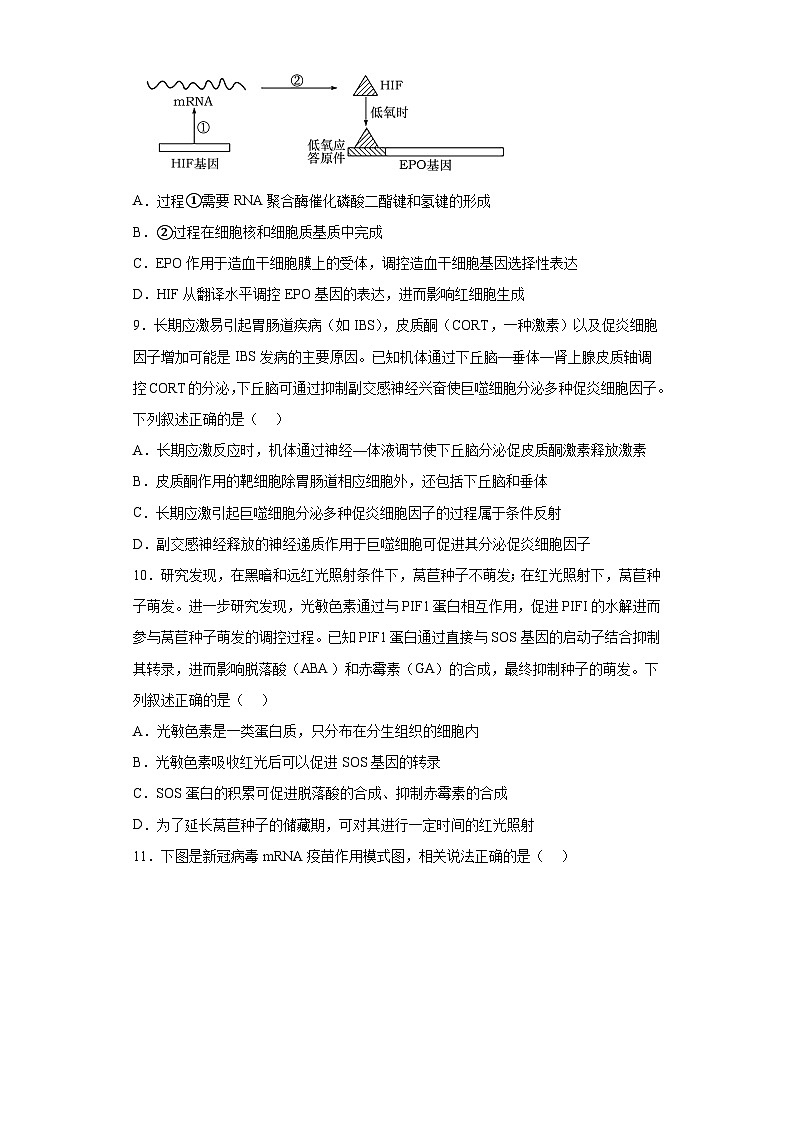 2023届辽宁省实验中学高三第四次模拟考试生物试题(含解析)03