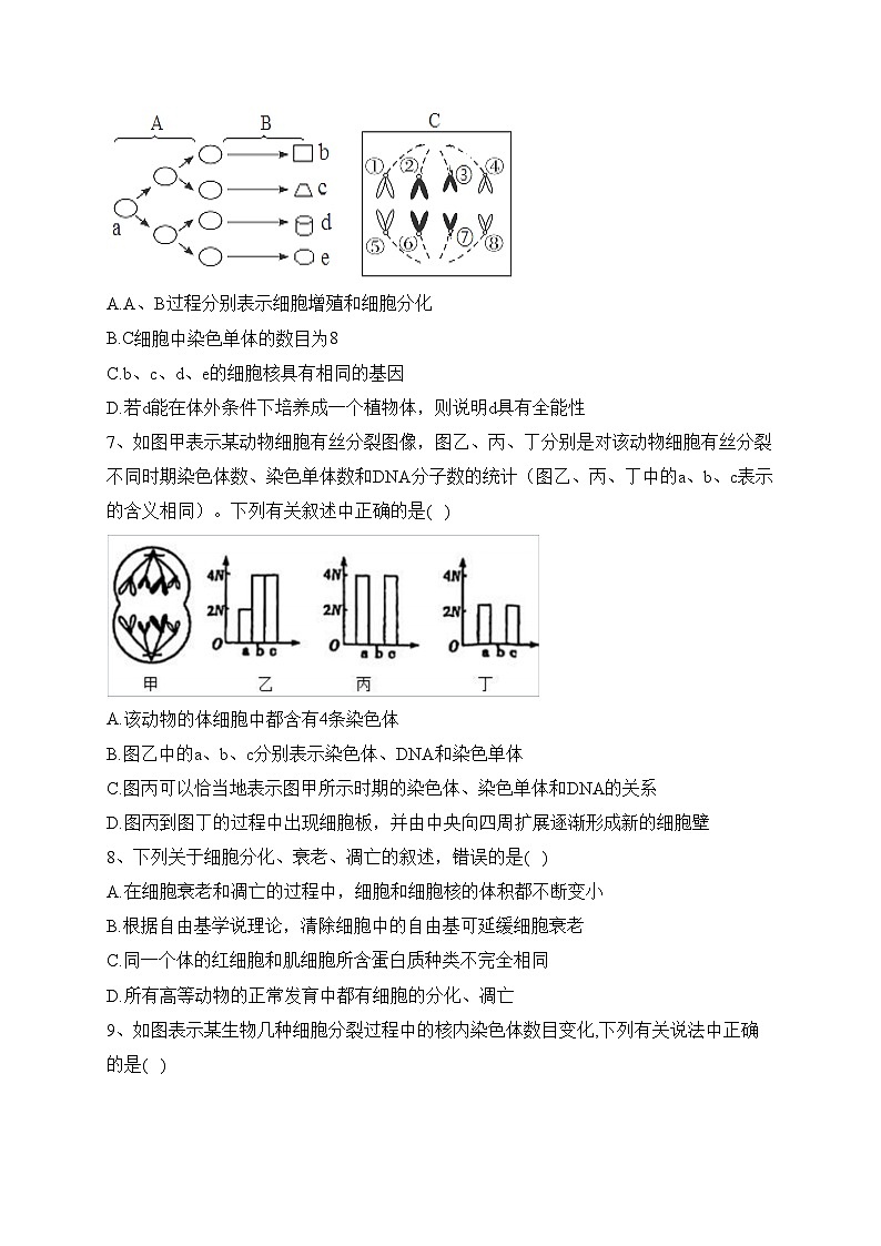 四川省射洪中学校2022-2023学年高一下学期5月第二次学月考试生物试卷(含答案)第2页