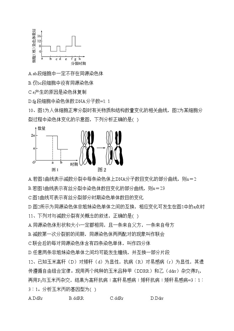 四川省射洪中学校2022-2023学年高一下学期5月第二次学月考试生物试卷(含答案)第3页