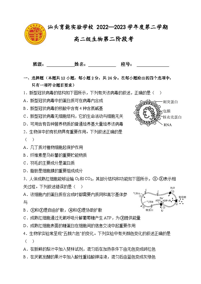 广东省汕头市育能实验学校2022-2023学年高二下学期期中考试生物试题及答案01