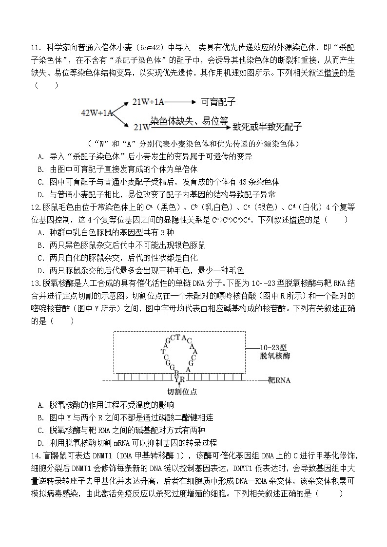 广东省清远市阳山县南阳中学2022-2023学年高一下学期第二次月考生物试题及答案第3页