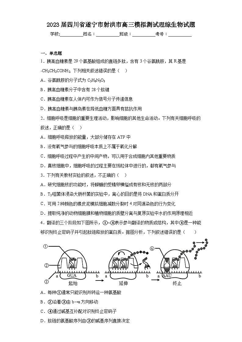 2023届四川省遂宁市射洪市高三模拟测试理综生物试题(含解析)第1页