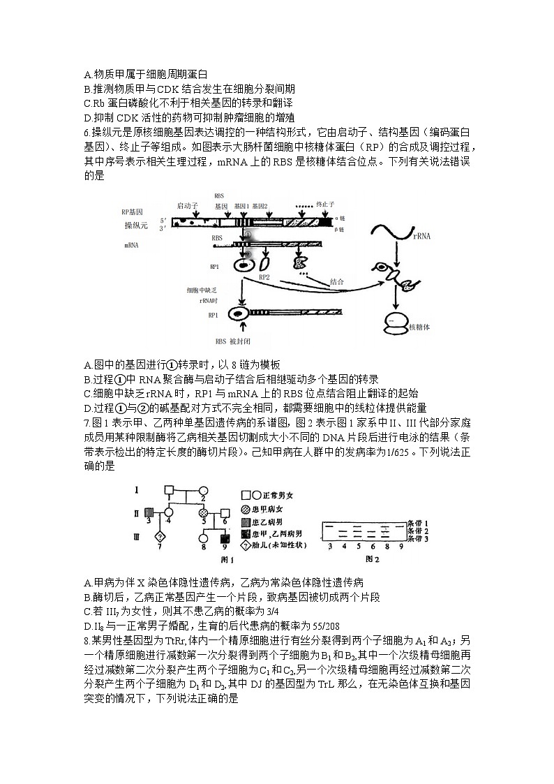 2023届重庆市第八中学高三下学期全真模拟考试(二模)生物试题及答案02