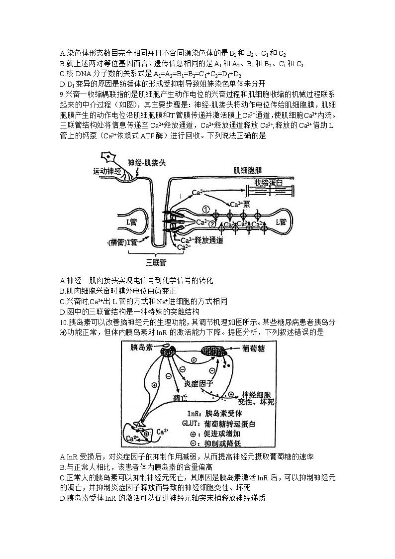 2023届重庆市第八中学高三下学期全真模拟考试(二模)生物试题及答案03
