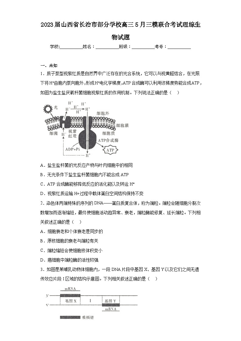 2023届山西省长治市部分学校高三5月三模联合考试理综生物试题(无答案)01