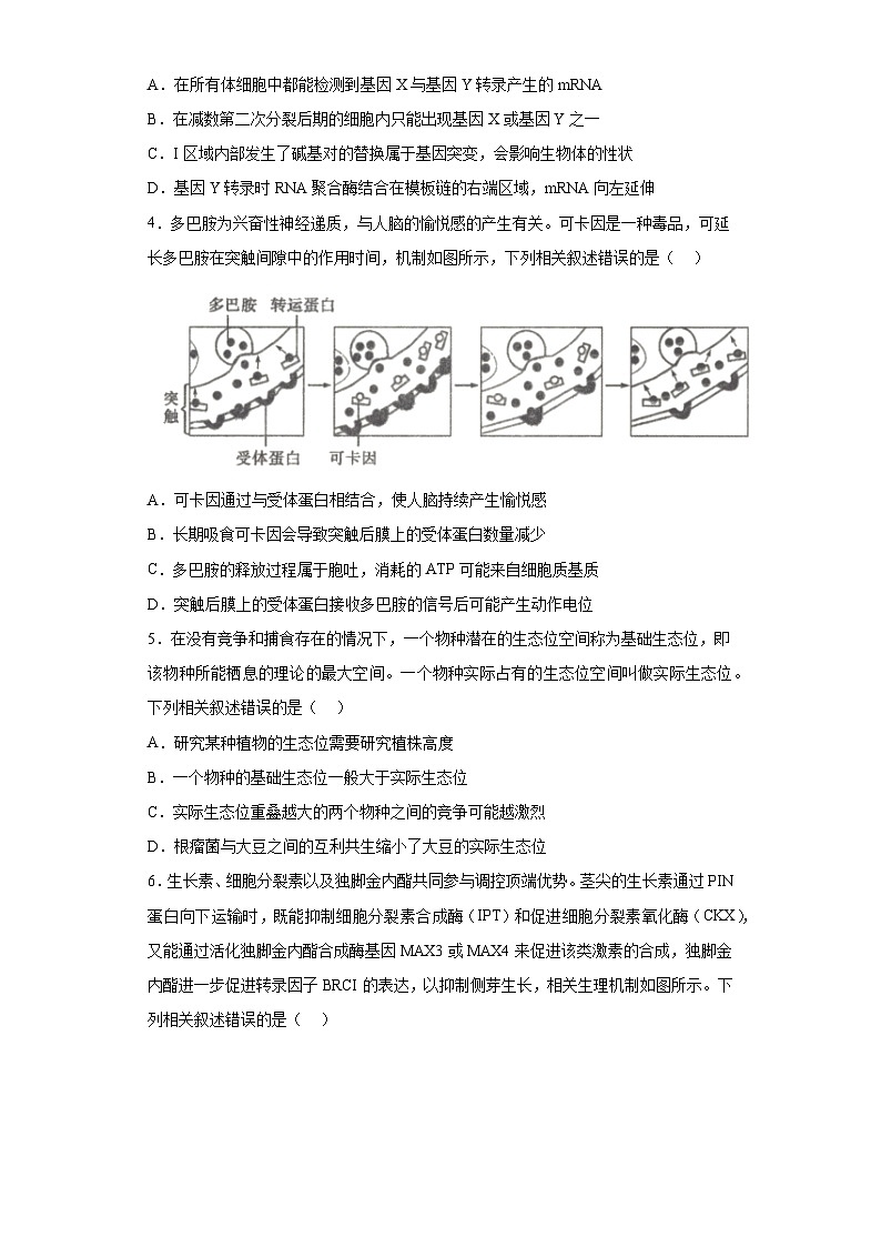 2023届山西省长治市部分学校高三5月三模联合考试理综生物试题(无答案)02