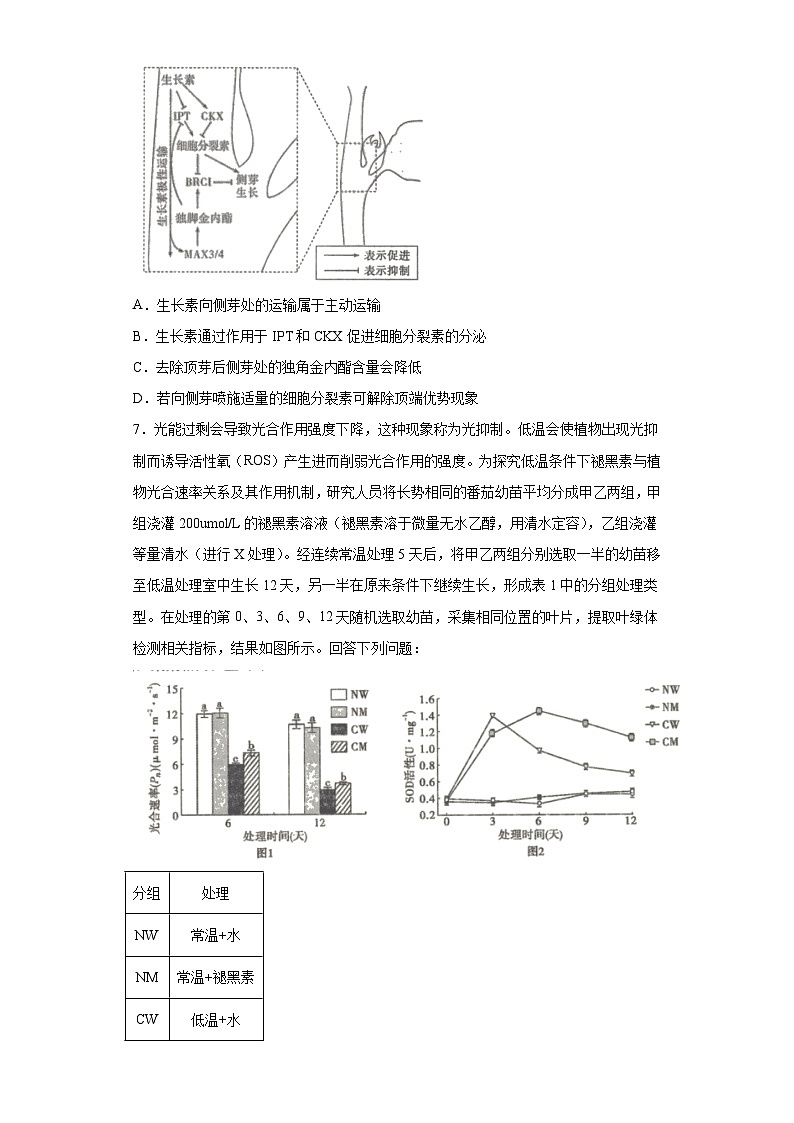 2023届山西省长治市部分学校高三5月三模联合考试理综生物试题(无答案)03