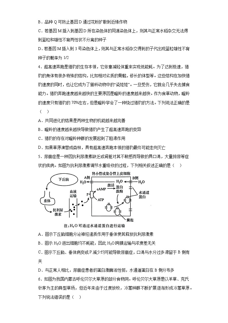 2023届河南省名校青桐鸣高三5月大联考理科综合生物试题(无答案)第2页