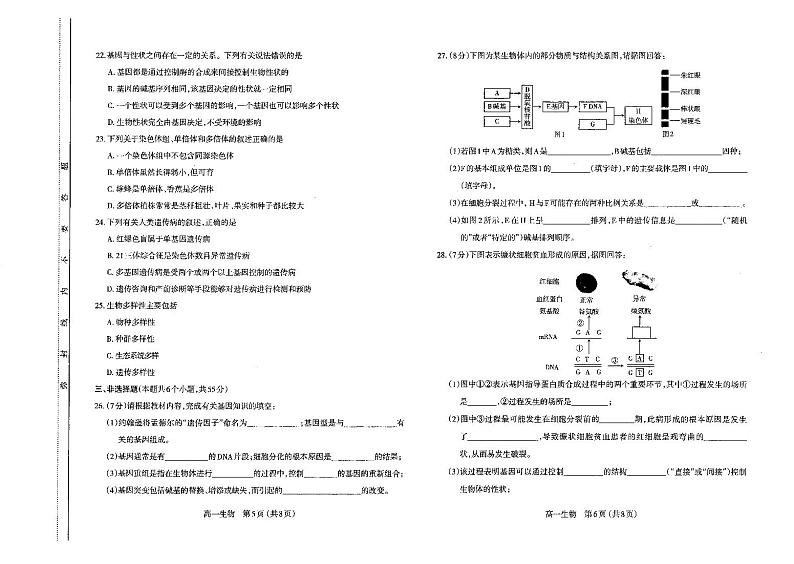 山西省太原市2021-2022高一下学期期末生物试卷+答案第3页
