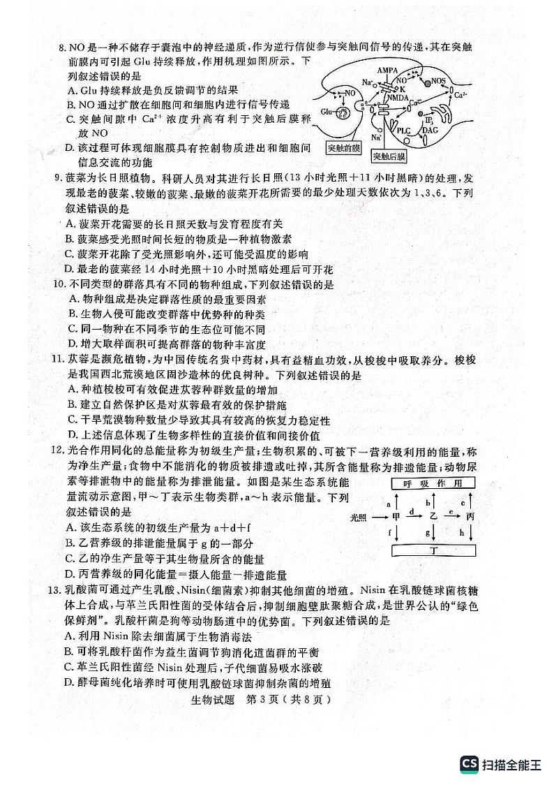 2023届山东省济宁市高三三模生物试题03