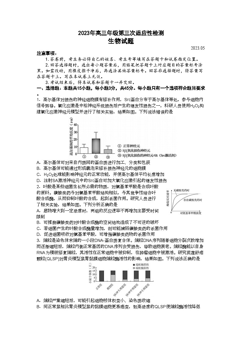 山东省青岛市2023届高三下学期第三次适应性检测(三模)生物+Word版含答案第1页