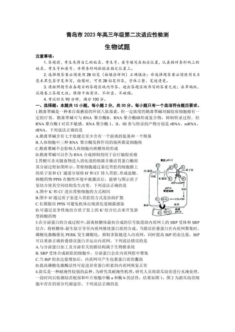 2023届山东省青岛市高三下学期第二次适应性检测（二模）生物 PDF版01