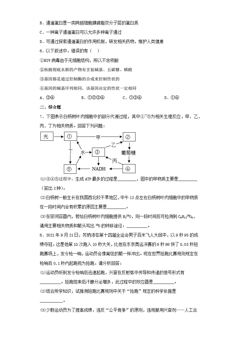 2022-2023学年广西高三第一次模拟理综生物试卷(含解析)02