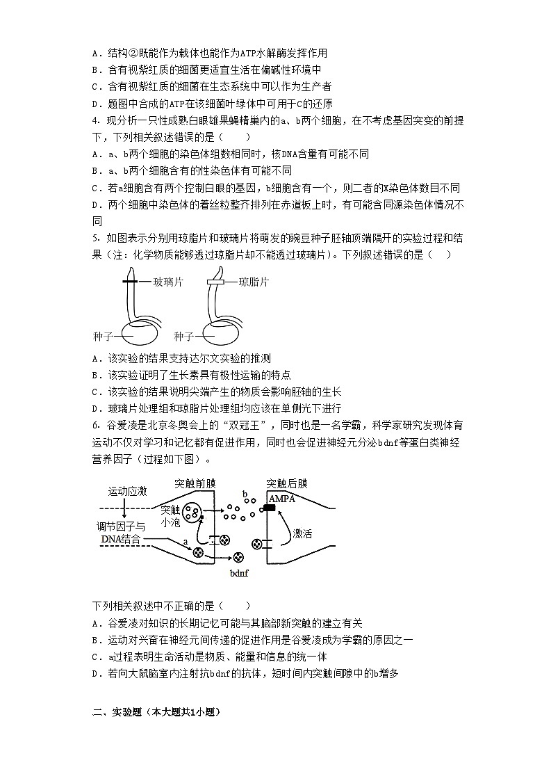 2023届江西省南昌市八一中学高三下学期三模理综生物试题第2页