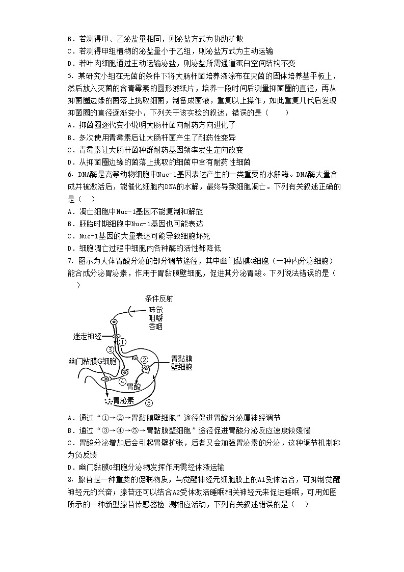 2023届湖北省襄阳市五中高三适应性考试(一)生物试题02