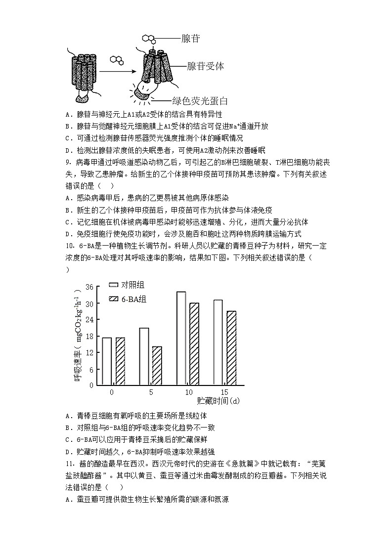 2023届湖北省襄阳市五中高三适应性考试(一)生物试题03