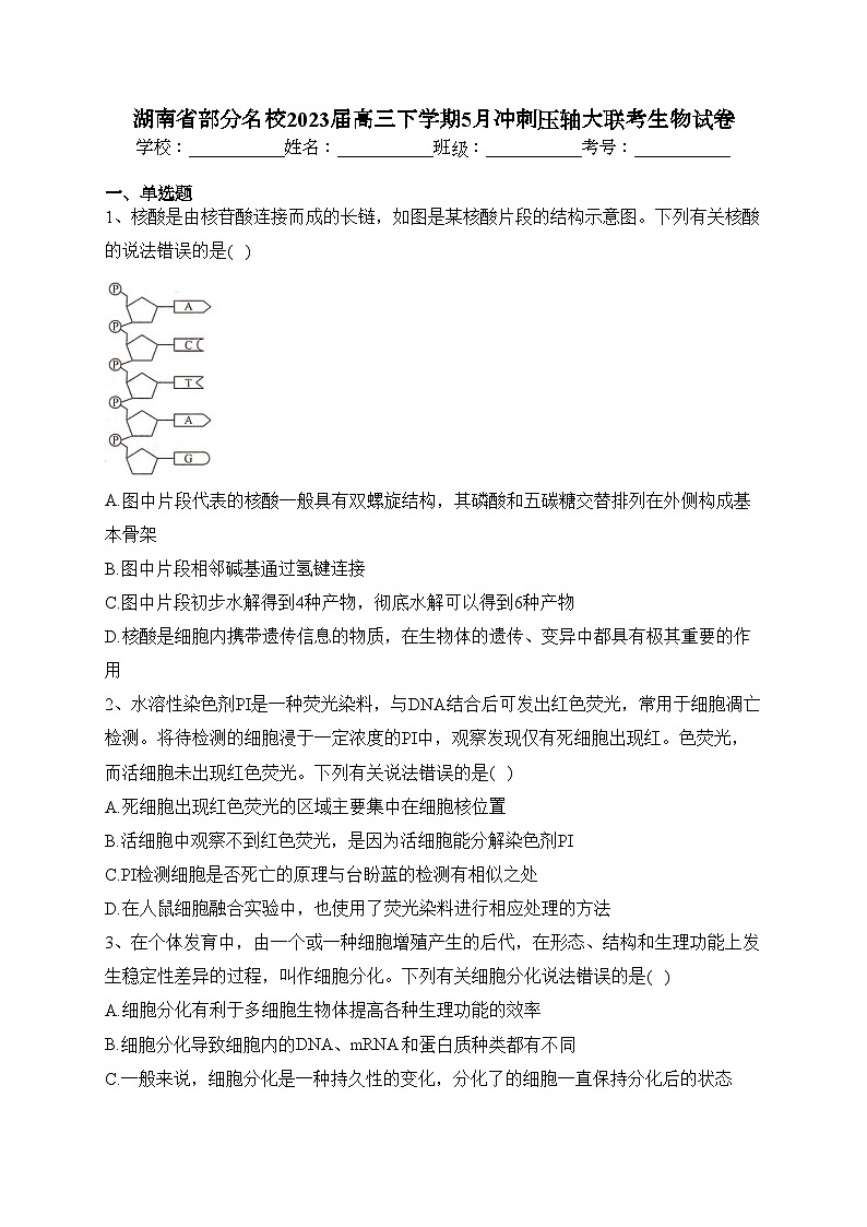 湖南省部分名校2023屆高三下學(xué)期5月沖刺壓軸大聯(lián)考生物試卷（含答案）第1頁