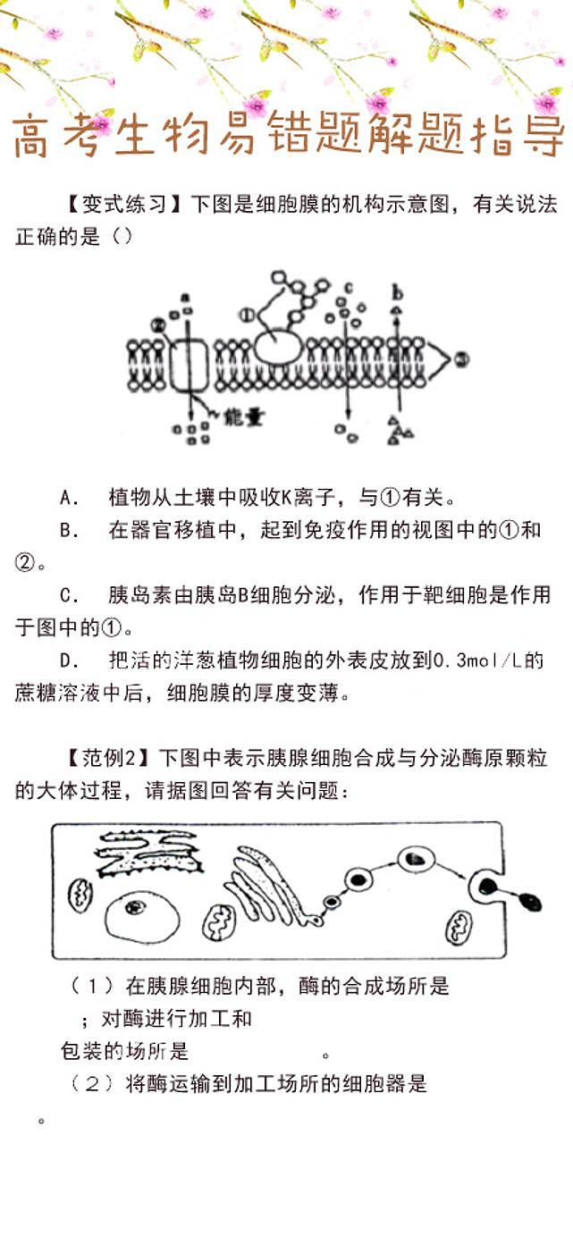 高考生物:易错题解题指导第2页