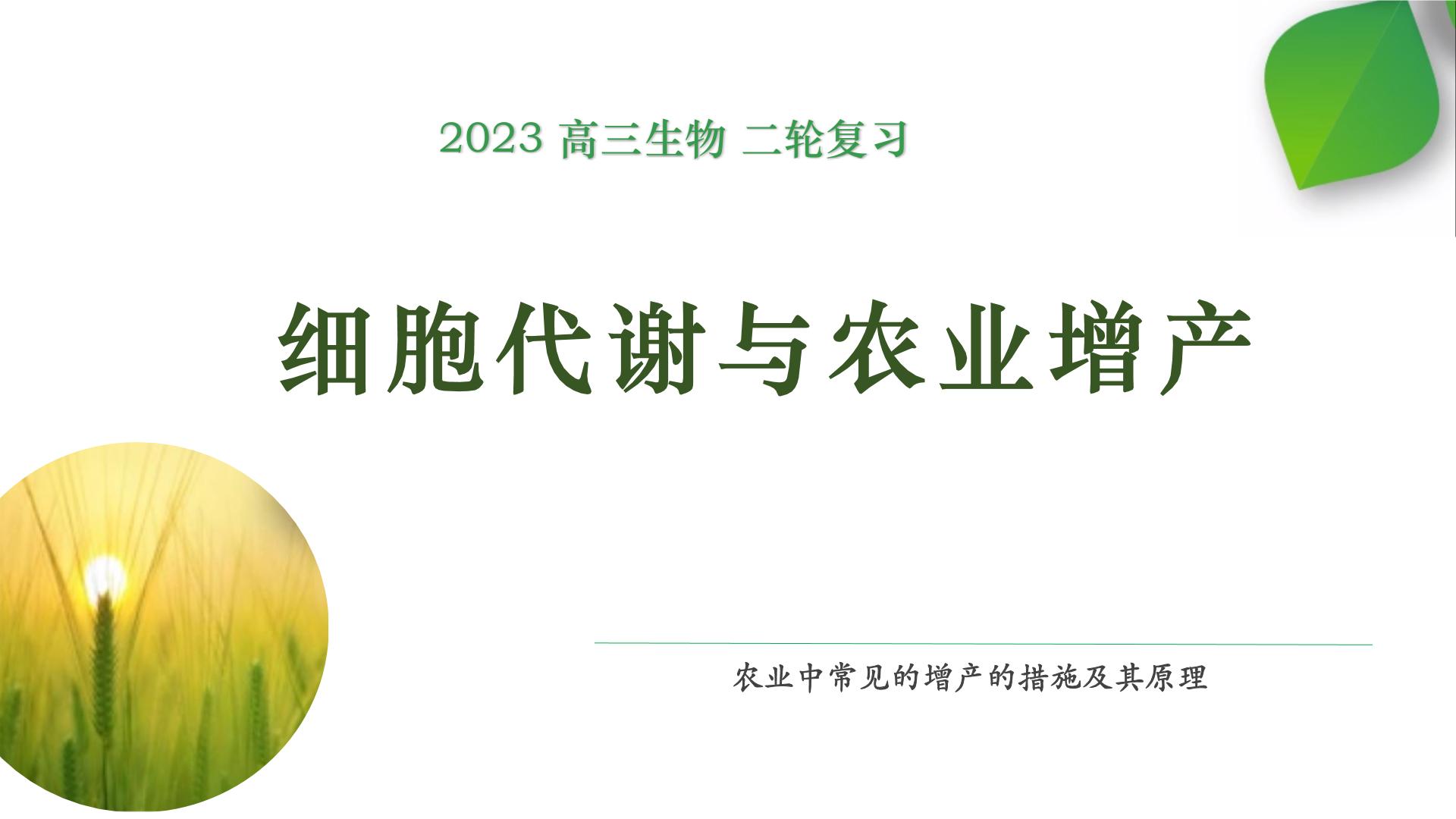 2023届高三复习生物：农业增产和增收课件