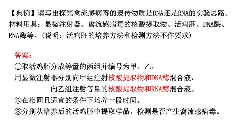 2023届高三生物复习课件 核酸是遗传信息的携带者第6页