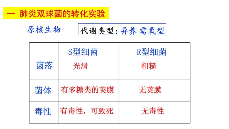 2023届高三生物复习课件基因的本质02