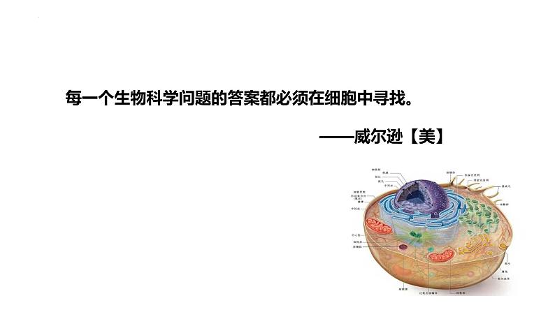 2023届高三复习生物:第一讲 借助显微镜走近细胞课件第1页